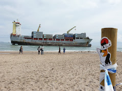 El catganer a la platja del Saler.