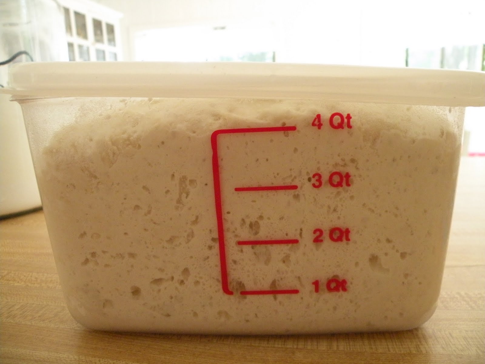 Heart, Hands, Home Five Minute Bread(A Refrigerator Mix)