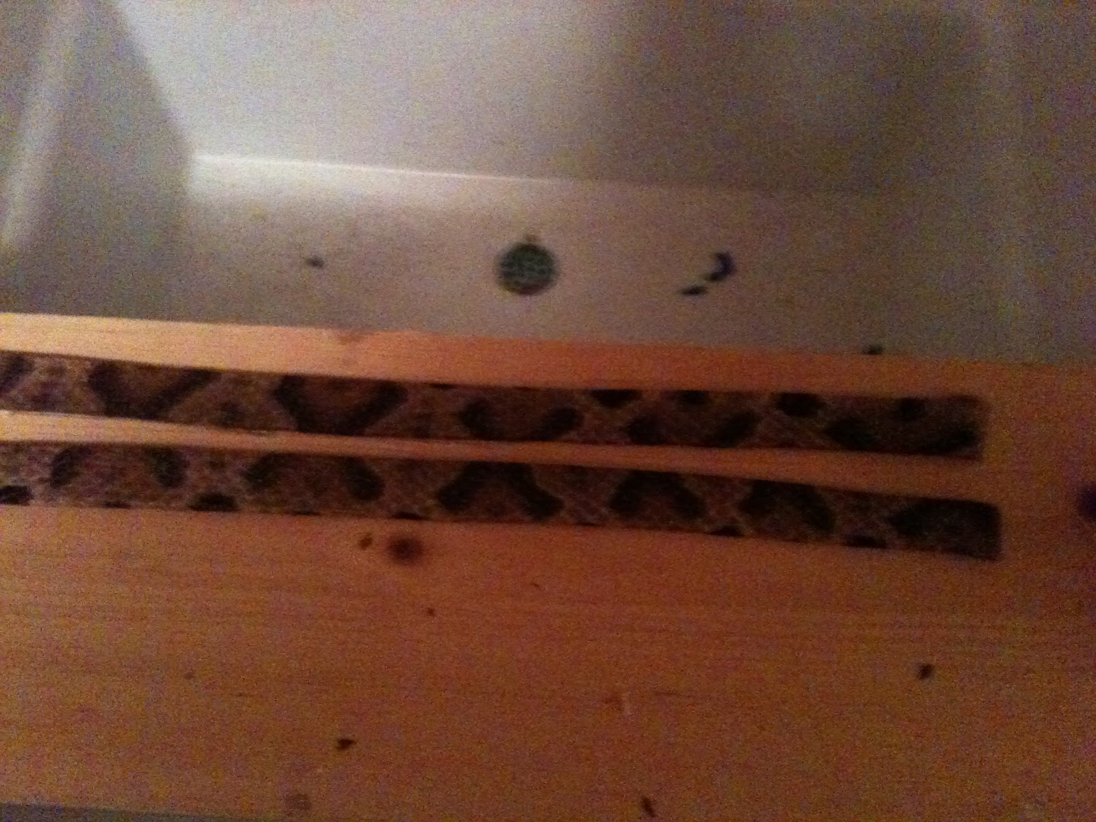 The musings of a 'Big Man' Update on the Copperhead Hat Band.