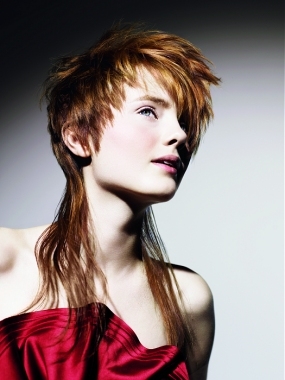 Mullet Hairstyles Hair Style