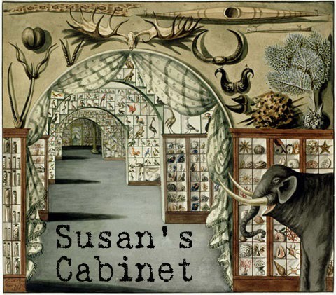 Susan's Cabinet