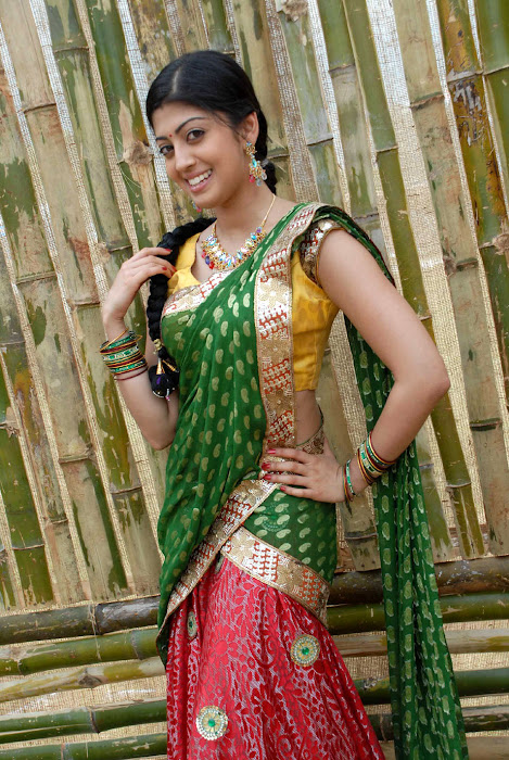 pranitha saree , pranitha new in saree actress pics
