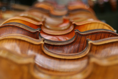 violins fiddles sue muldoon images LLC