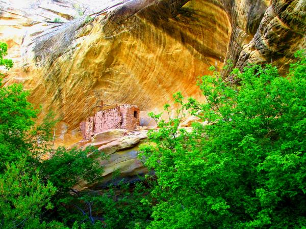 بيوت الهنود الحمر Anasazi+Ruins+by+Rick+Schafer-cliff_dwelling_near_cave_7600_450