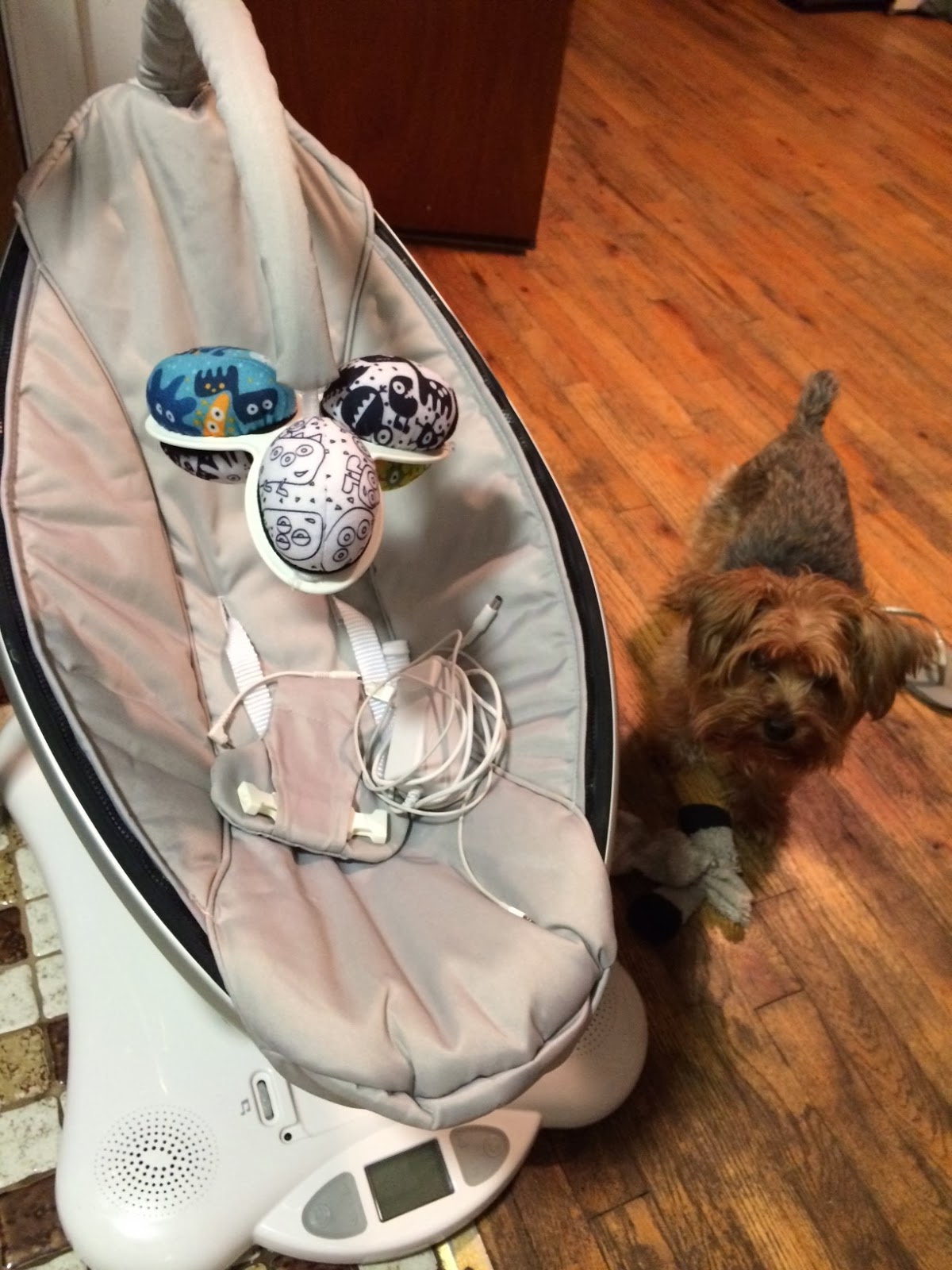 used mamaroo craigslist