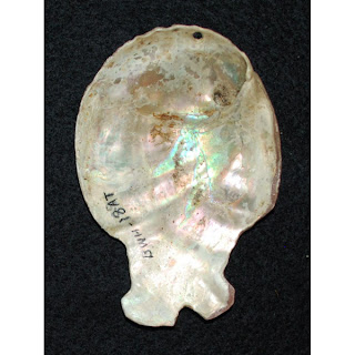 American Indian Shell Gorget, ETHNIKKA blog for human culture knowledge