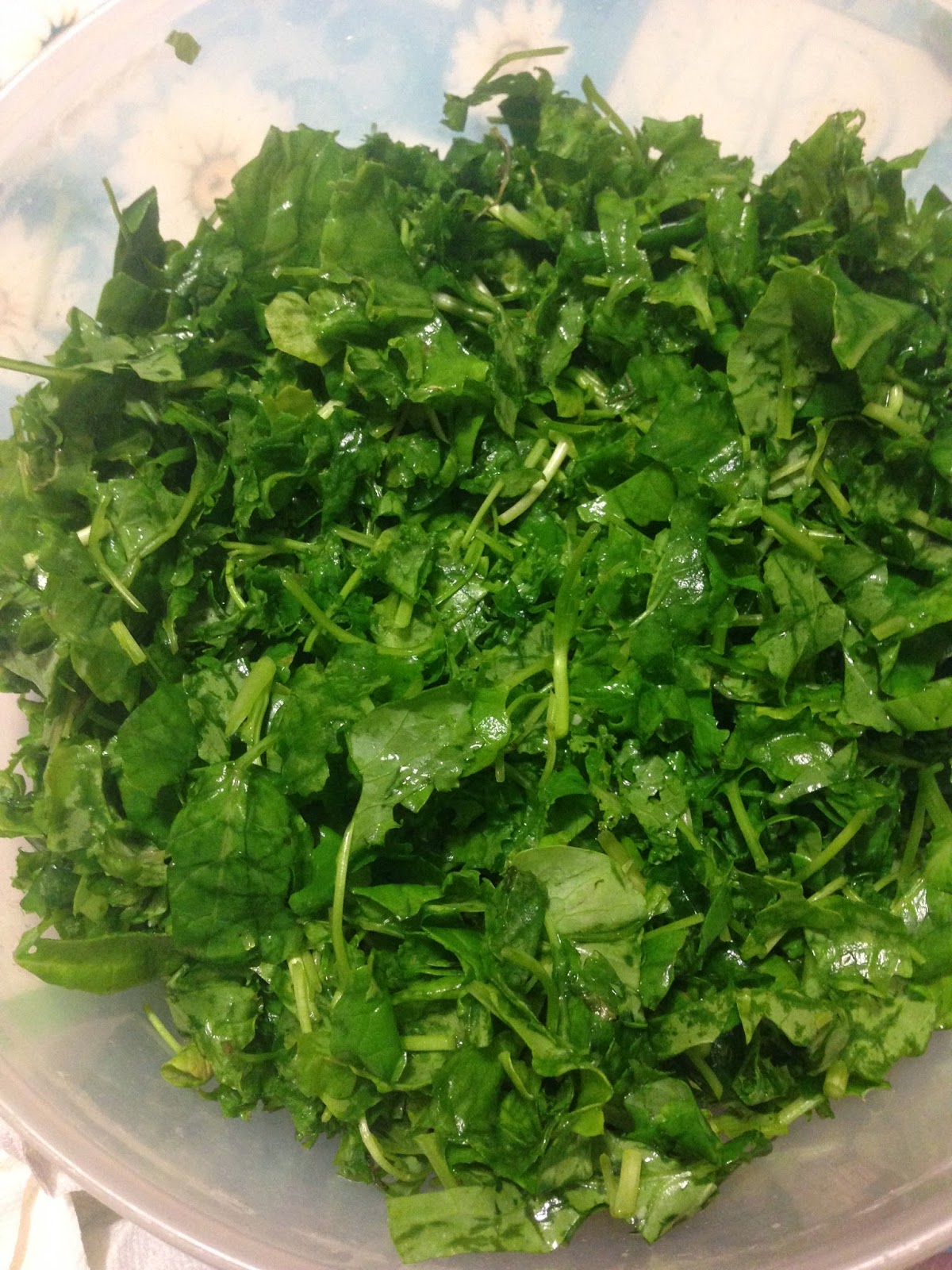Patio Vegetable Gardener Kale Greens & Broccoli Greens Harvest