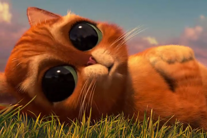 Gatos Bebe Caricatura Tiernos Imagui