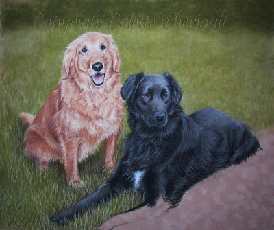 dog portrait commission painting in progress
