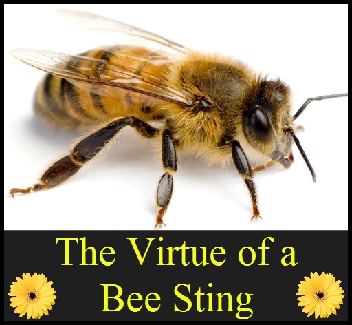 Values for Children Values for Children