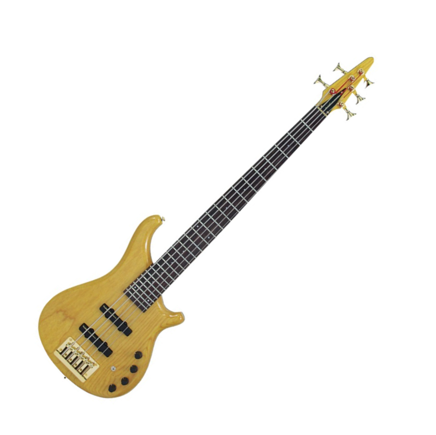 Bass Review For Bassist Tune ZI52 NT Supernova 5 String Bass