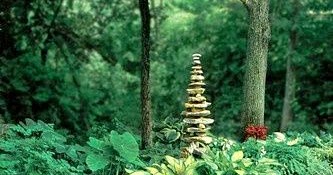 Rock gardens in shaded area | Backyards Click