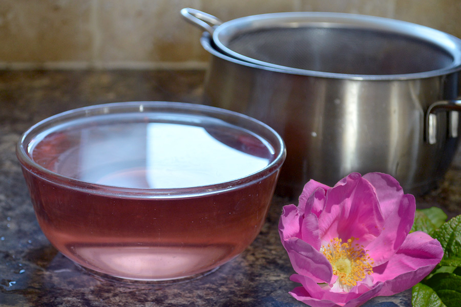 Making Wild Rose Water Lovely Greens Garden Living and Making