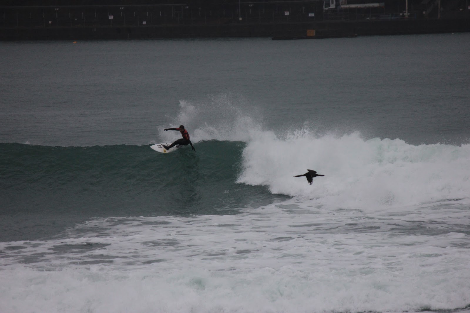 大阪 摂津市 デブロ サーフショップ 翌日
