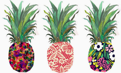 ananas,pineapple,illustration