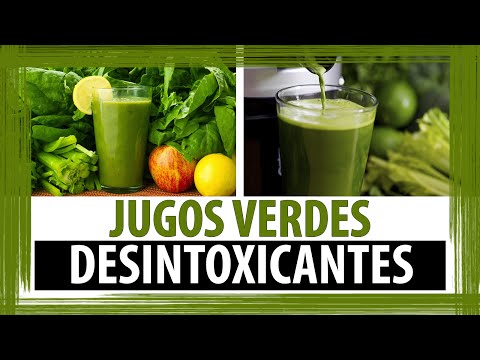 Pulpas Listas Preparadas para hacer Jugos Desintoxicantes