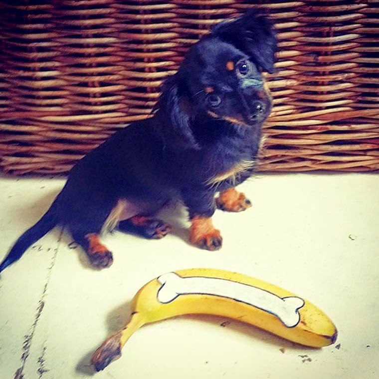 ნახატები ბანანებზე - სიმსივნესთან მებრძოლი არტისტის ნამუშევრები GEMRIELIA