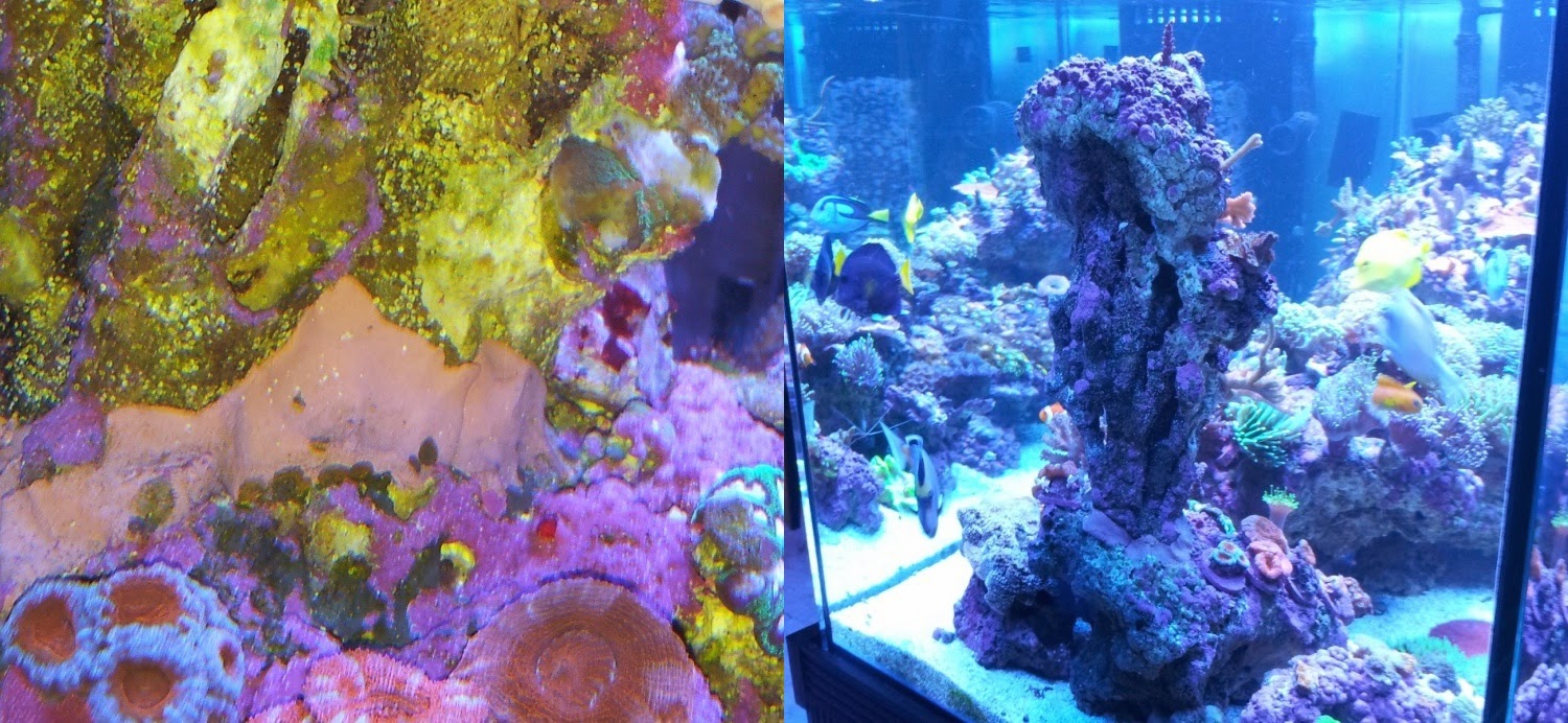 Two Little Fishies AquaStik Epoxy Putty Versatile and Easy To Use