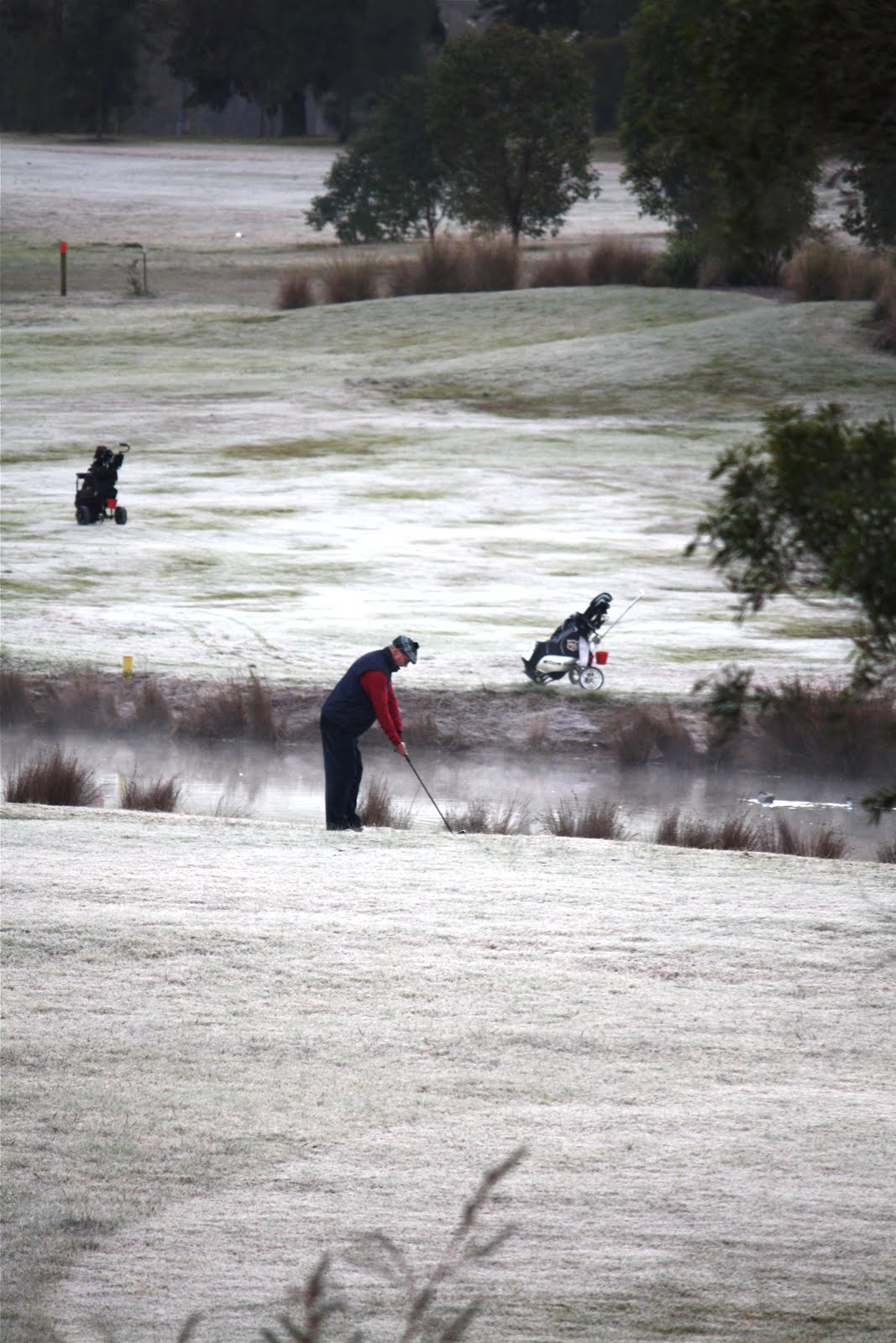 Barcodes - Amazon.de