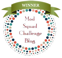 Mod Squad Challenge Winner