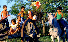 Cadê o cavalo