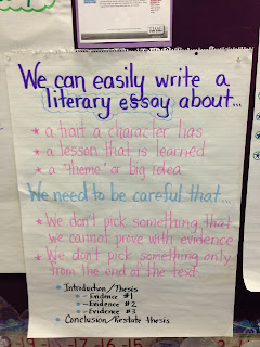 Literary Essays