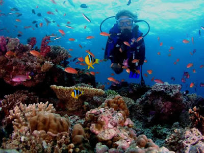 islas fiji viajes y turismo