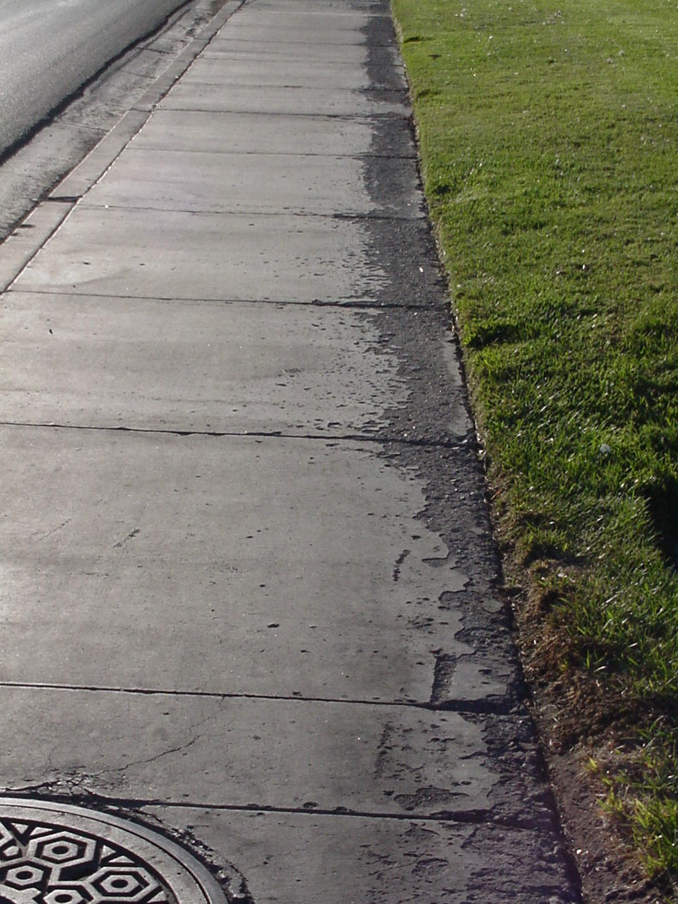 Xtremehorticulture of the Desert Softened Water Can Be A Problem for Landscapes and Houseplants