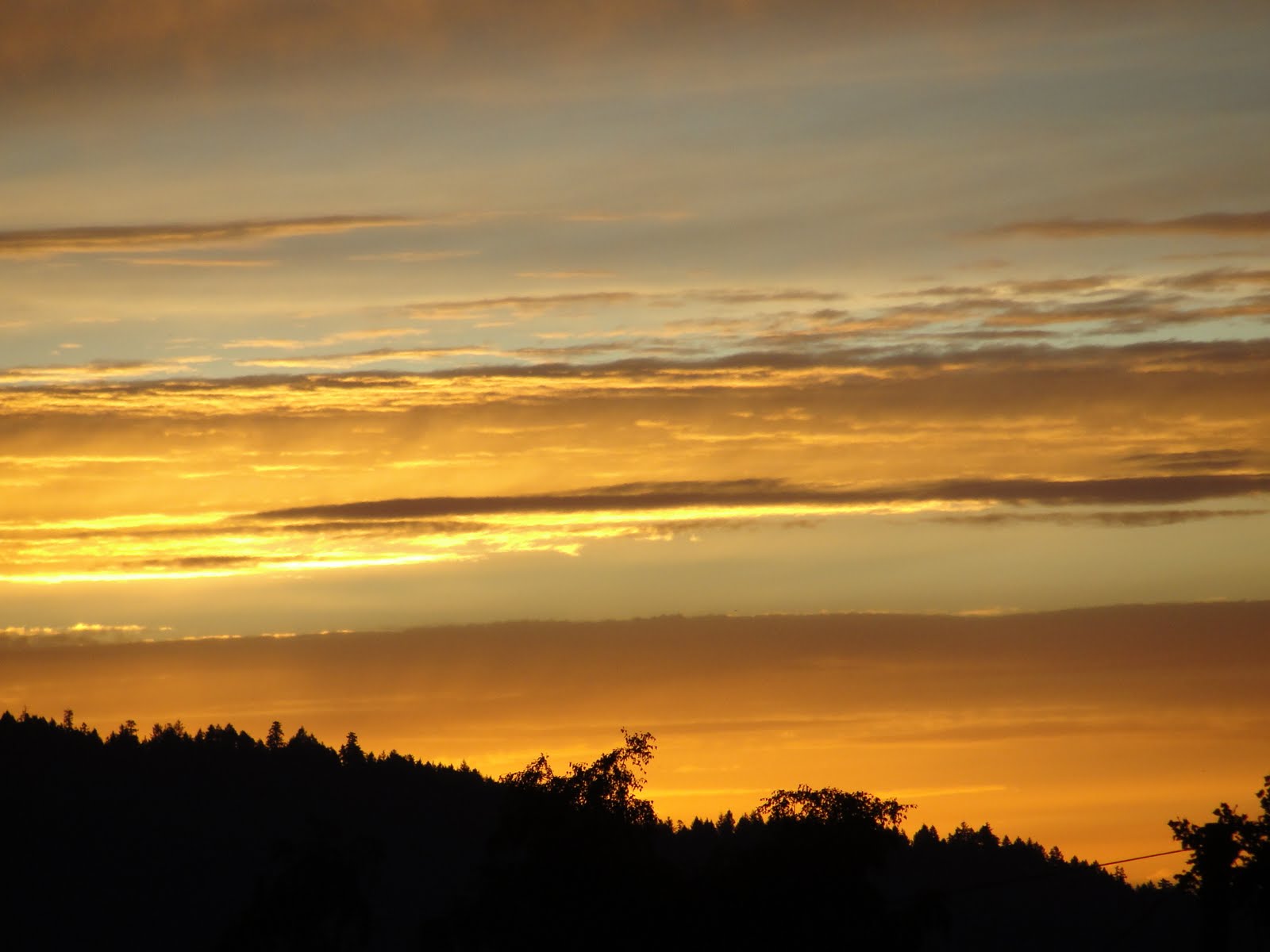 My life with the critters Sunday Morning Sunrise