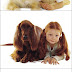 Dogs and kids lookalikes