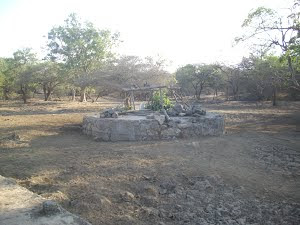 A Well inside the Gir National park used by the Maldhari tribals living inside the National Park.