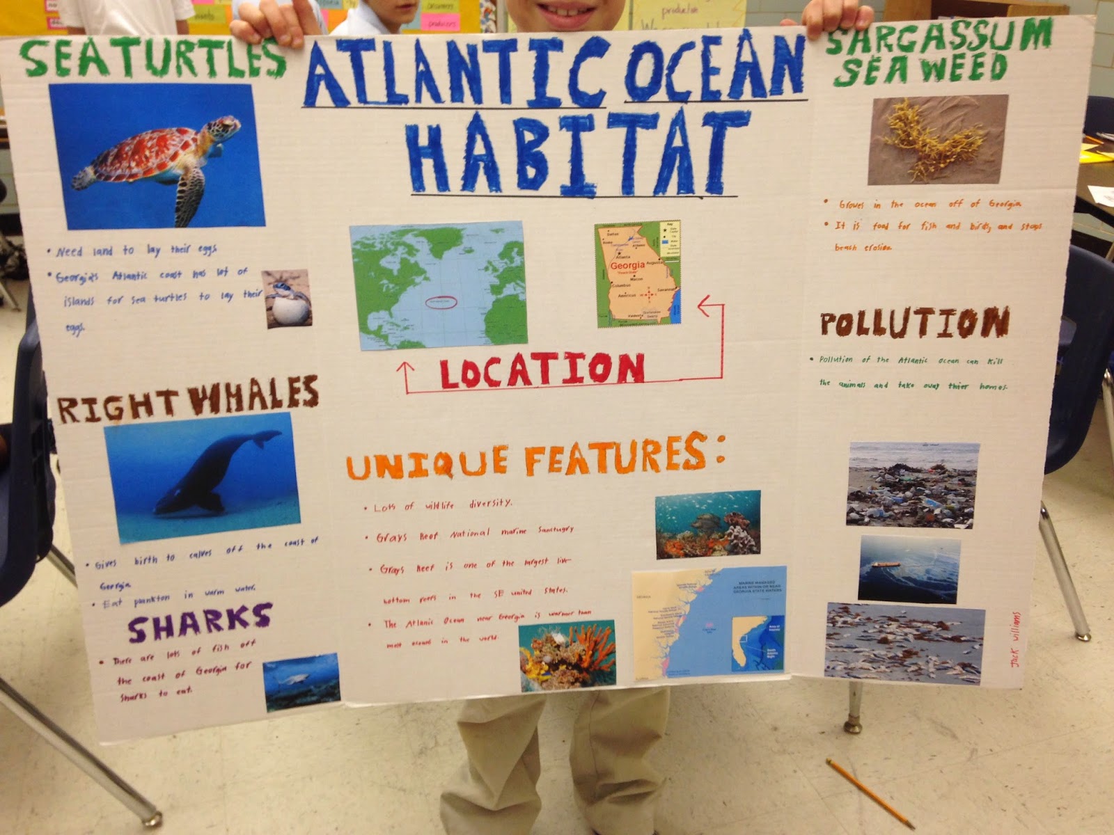 Mrs. Soons 4th Grade: MARKETPLACE and Habitats!