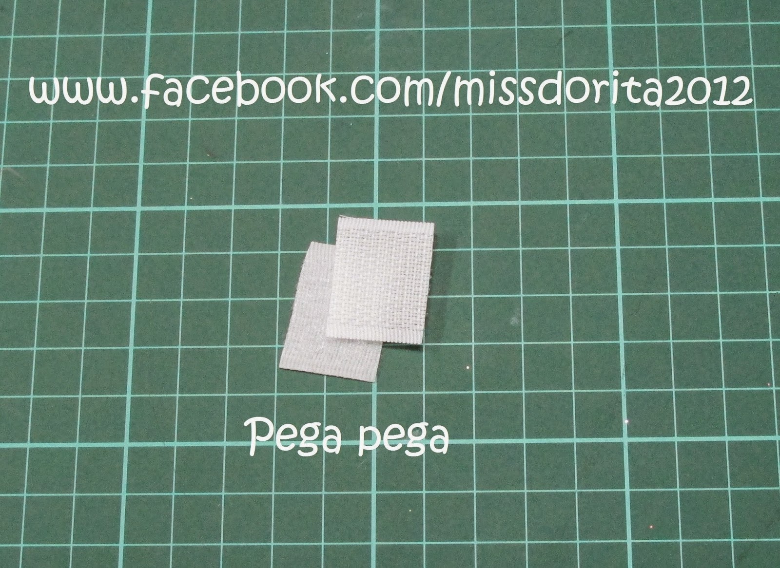 Que es la Pegapega y con que otros nombres se le conoce Miss Dorita