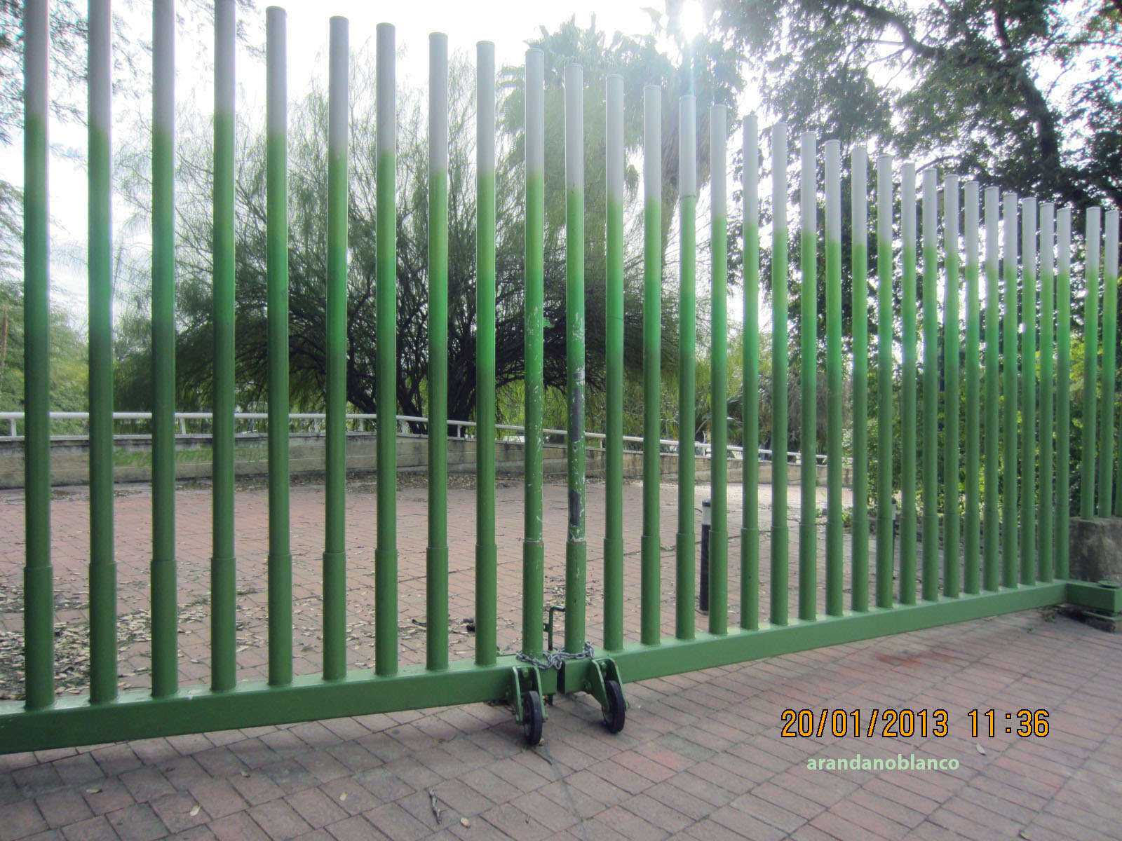 Plataforma Ciudadana Parques y Jardines Sevilla: enero 2013