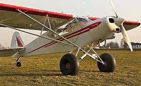 Kathryn's Report: Piper Super Cub Airplane Flight Club ...