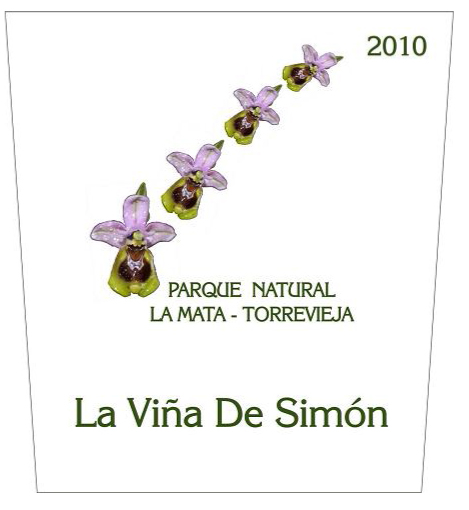patio interior en usufructo marevinum vinos del parque natural salinas de la mata patio interior en usufructo marevinum vinos del parque natural salinas de la mata