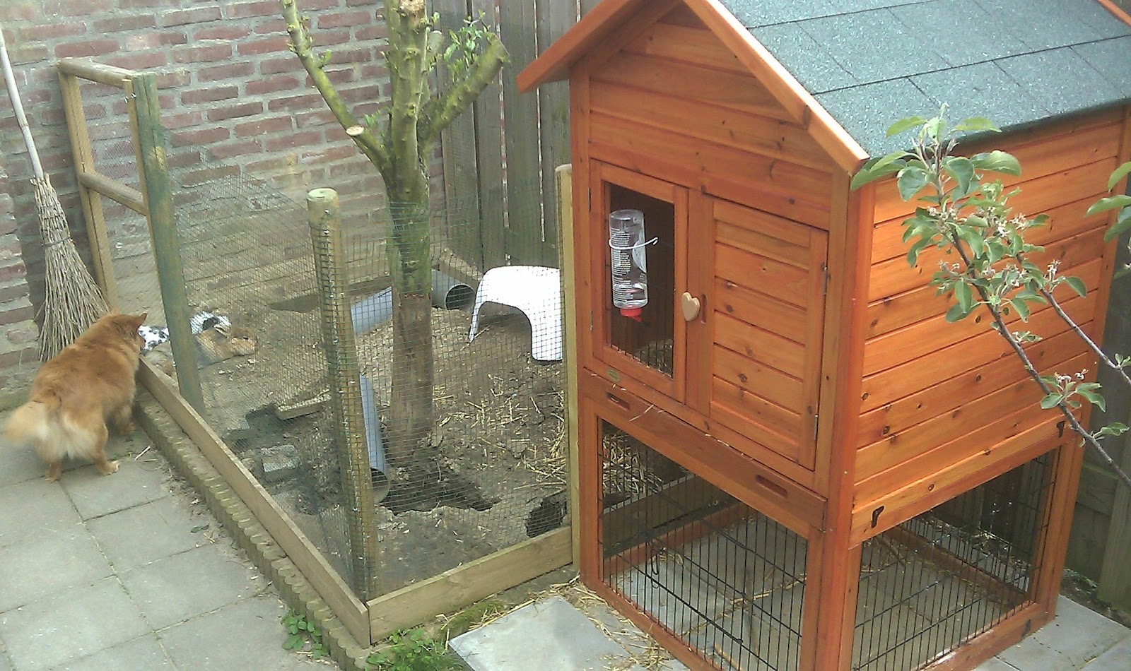 Onze Tuin, wat een genot ! Het Konijnenhok en de ren