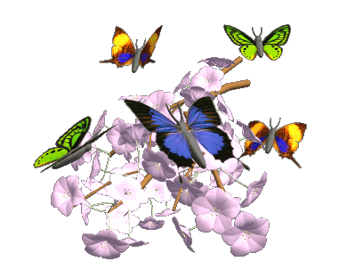 butterflies-and-flowers-animation-gif-clr.gif