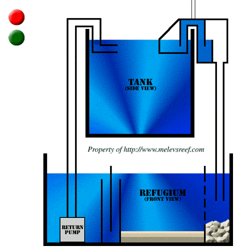 DIY FVM Tudo para seu aquário Overflow onde, como e para que.