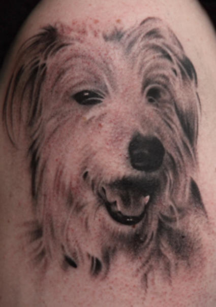 fastus asked hey I'm thinking in do a tattoo in mention of my dog 