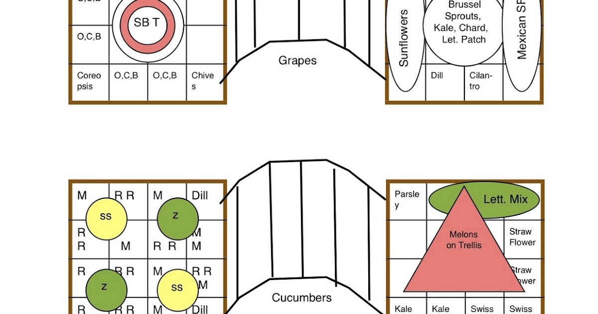 Homestead Ramblings: Garden '11