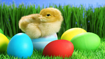 #15 Happy Easter Wallpaper