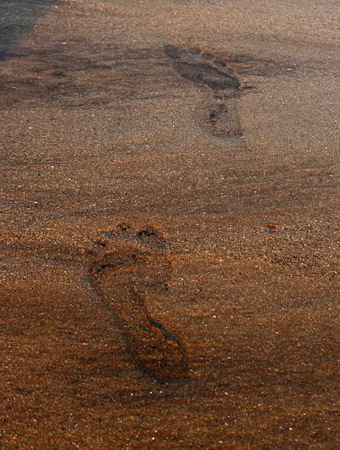 footprints in the wet packed sand