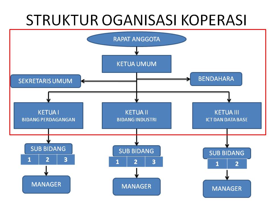 KOPERASI ANAK DESA INDONESIA STRUKTUR ORGANISASI KOPERASI