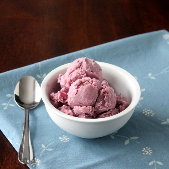 Kitchen Trial and Error blueberry greek frozen yogurt
