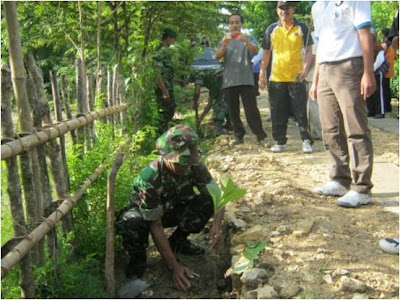 PROGRAM PENGHIJAUAN DI WIL. KORAMIL -11/JENAR