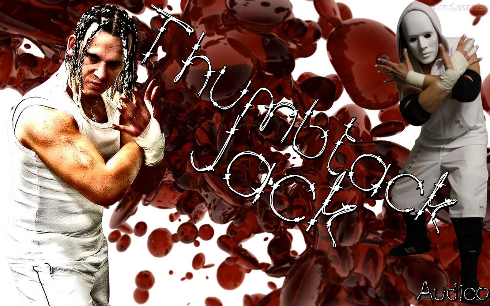 Thumbtack Jack Wallpaper Audico Walls