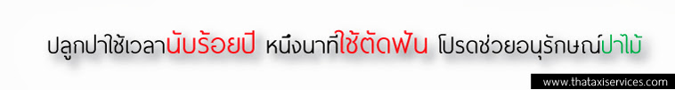 Thaitaxiservices.com