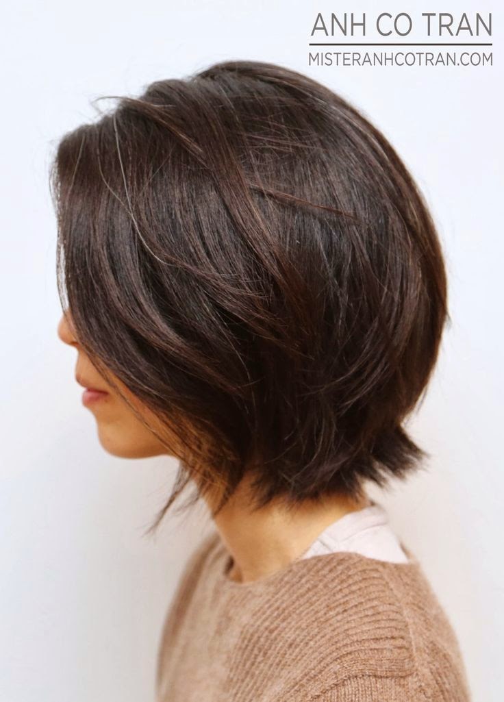 La Macedonia De Mariola Bob A Capas El Corte Mas Rebelde