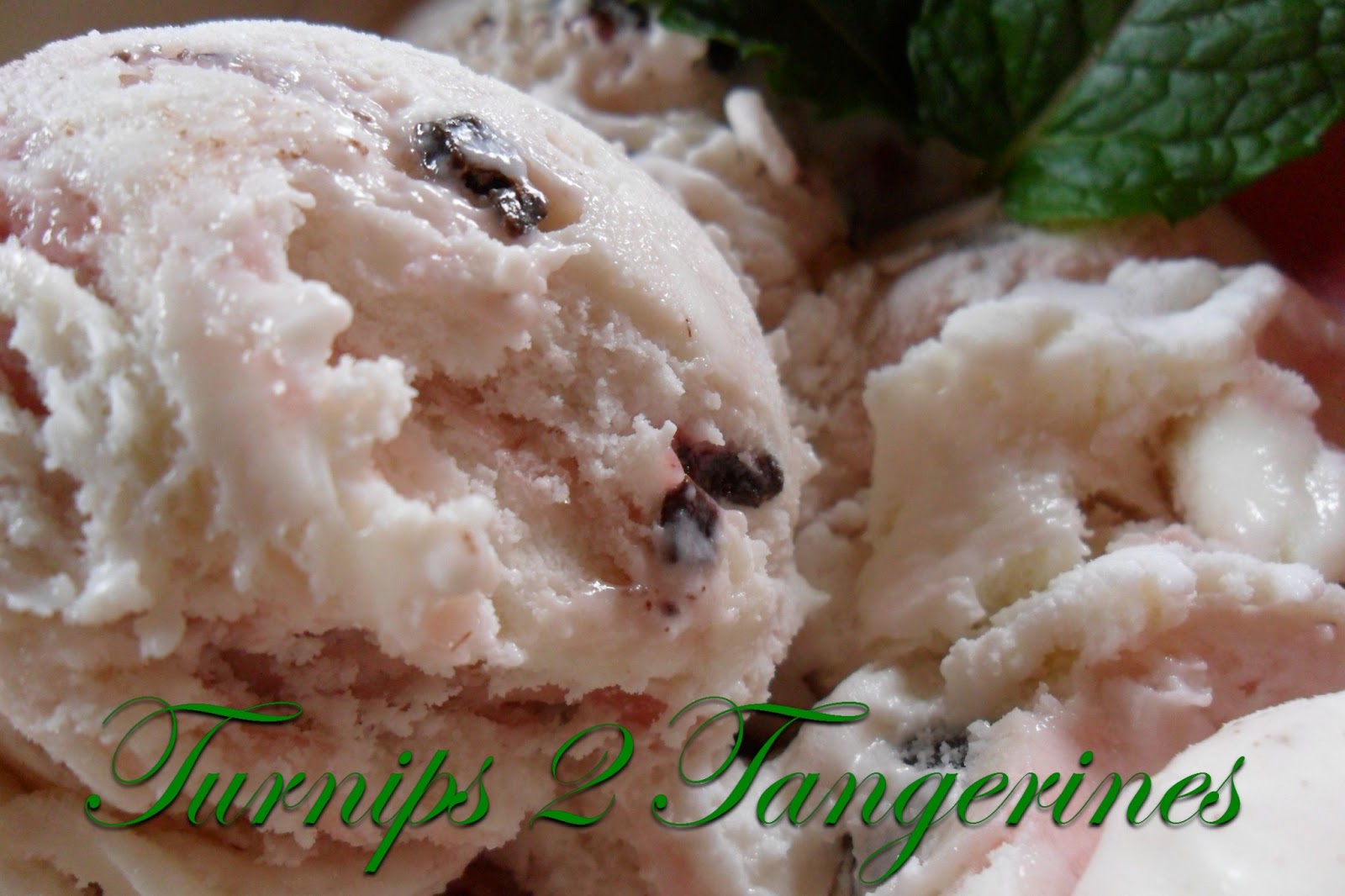 Turnips 2 Tangerines Cream Cheese Ice Cream